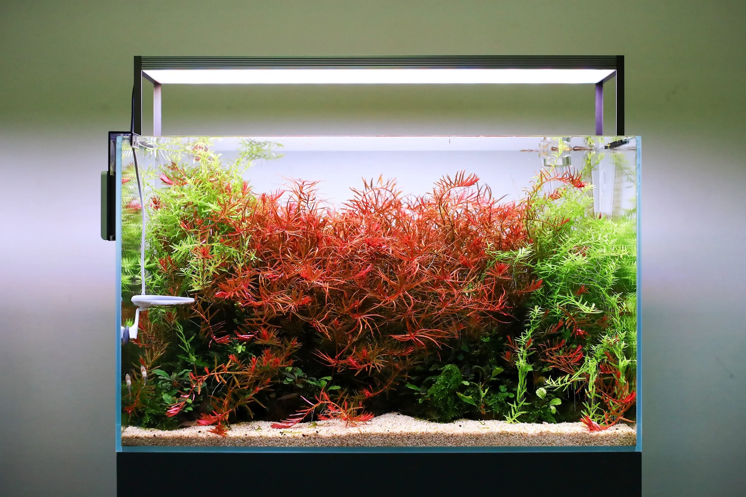 Twinstar deals aquarium light